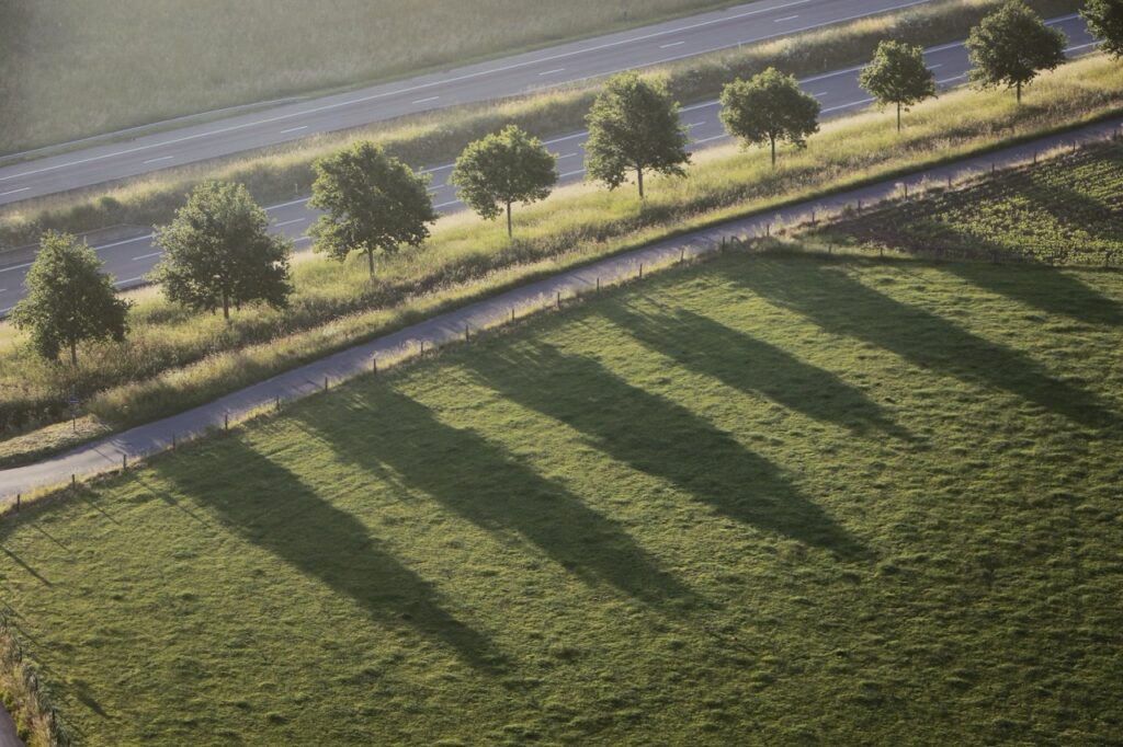 rij bomen langs weg met lange schaduwen op groen grasveld tijdens ballonvaart airo in west-vlaanderen